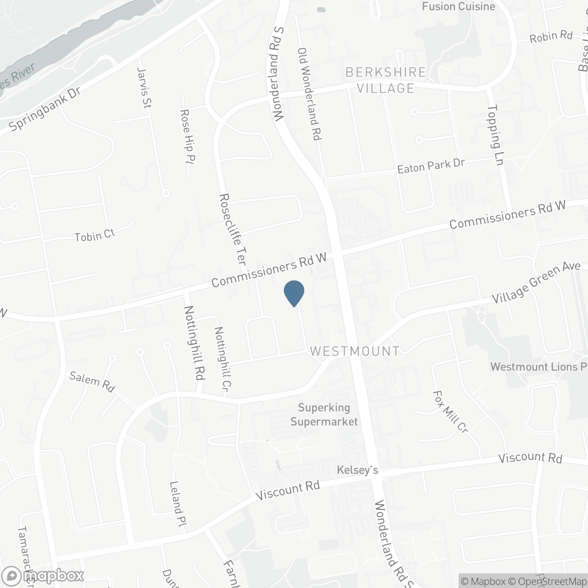 573 JAMAICA COURT, London, Ontario N6K 1N2